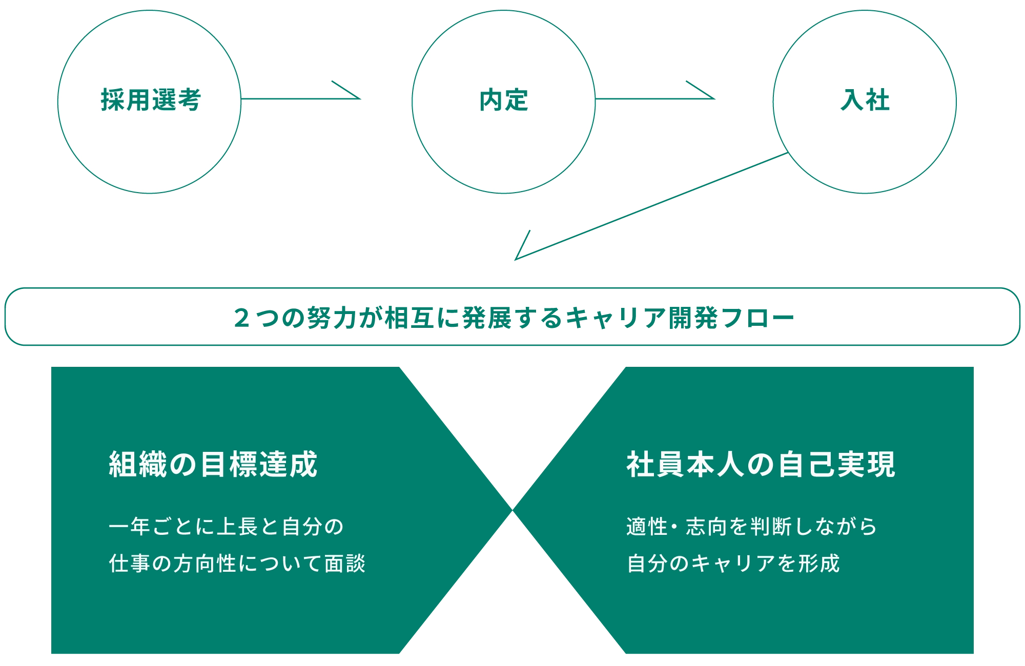 初期配属の考え方キャリア開発フロー